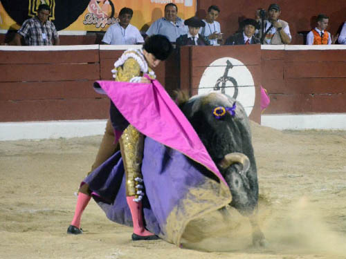 Sald�var saluda con capote azul