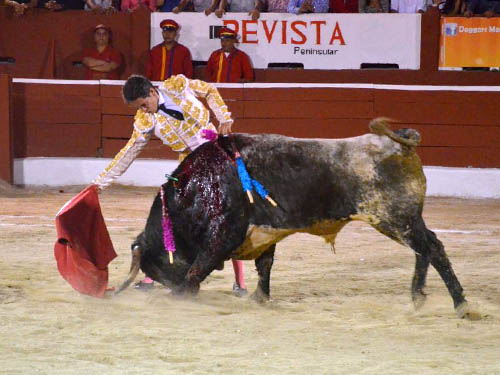 Nobleza del berrendo