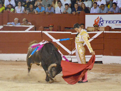 Desprecio silvetista