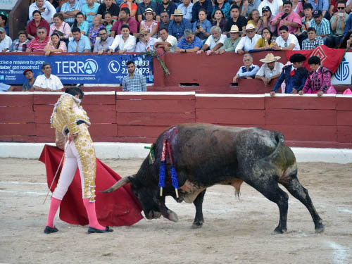 La faena de Silveti al primero