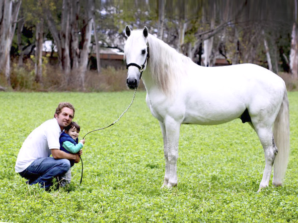 Jorge Hern�ndez presenta su cuadra