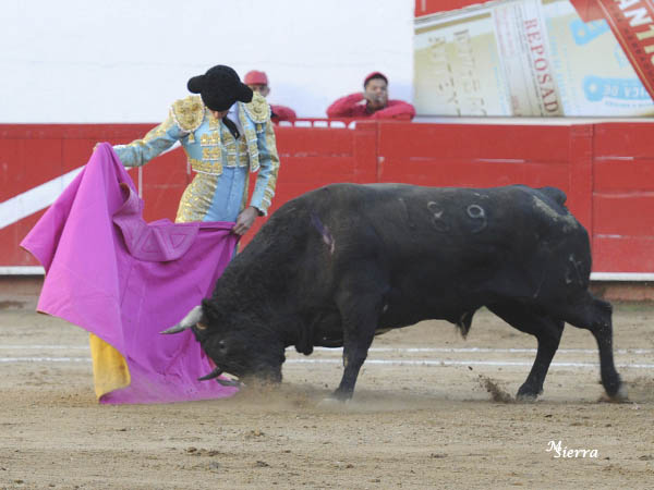 Las ver�nicas de Gin�s Mar�n