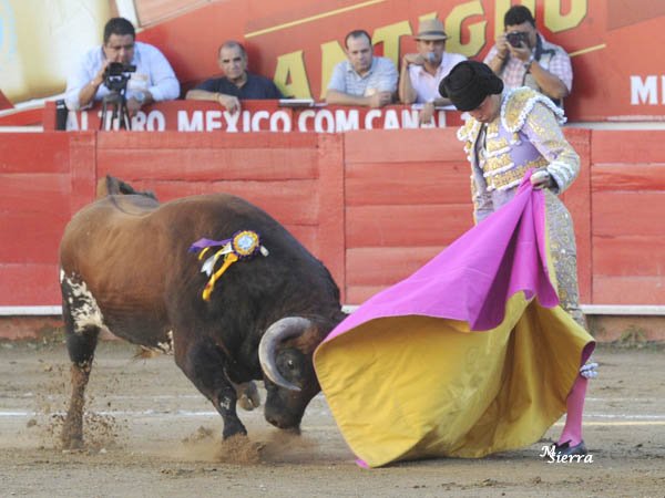 Espectacular casta�o jir�n