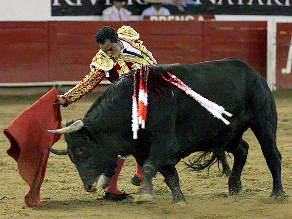 Sometiendo la brusca embestida