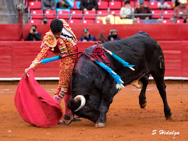 Detalles de buen toreo
