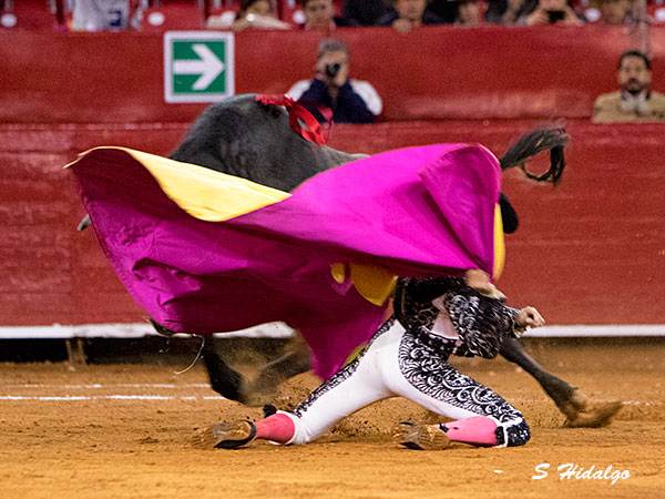 Recibiendo de hinojos
