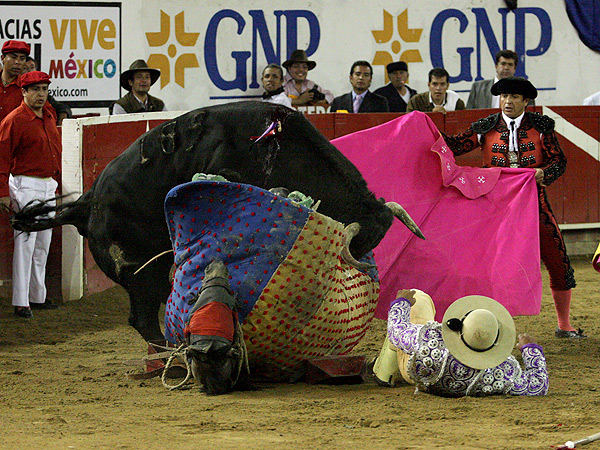 El Chivas tras la ca�da