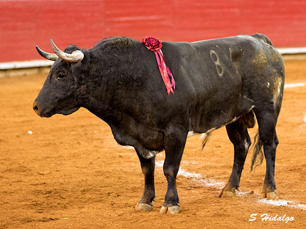 Se apareci� el diablo en la M�xico