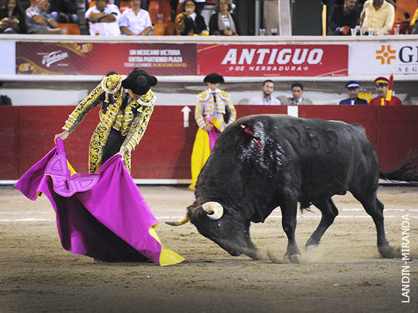 Perera y un buen toro de Tefilo