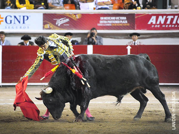 Gran calado en los tendidos