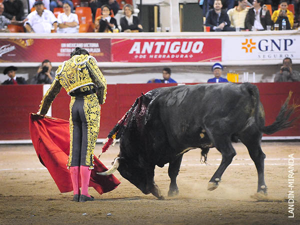 Apreci la embestida desde inicio