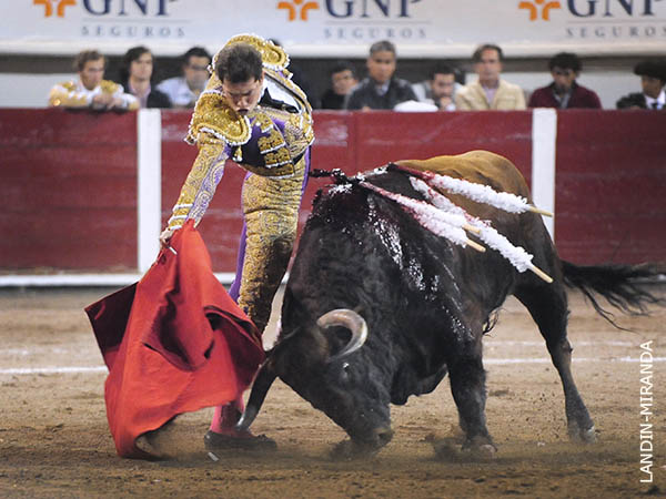 Dibuj detalles de torera