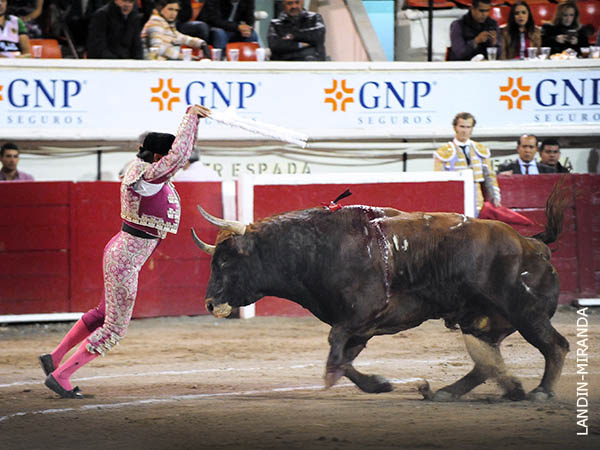 Rafa Romero en rehiletes