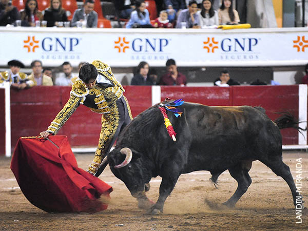 Le busc por todos los medios