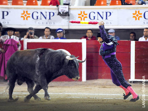 Adolfo, un lujo en la cuadrilla