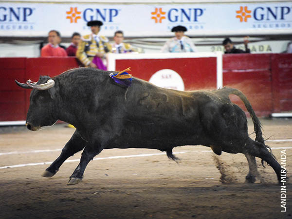 La percha del cuarto de la tarde
