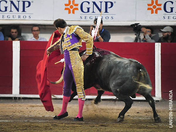 Sorte un lote de poco motor