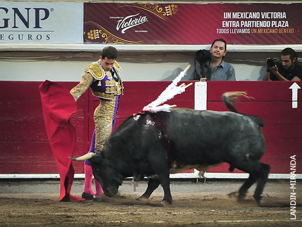 Variedad y repertorio
