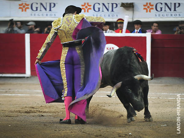 Chicuelinas en capote azul