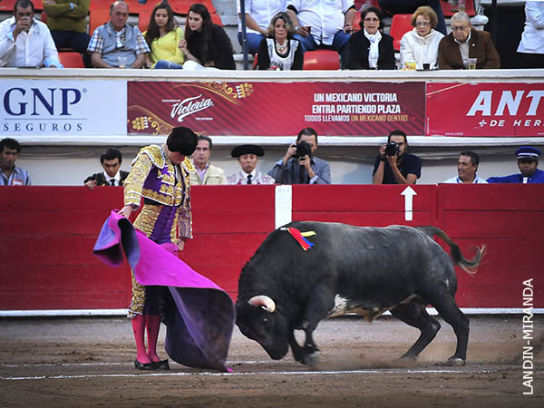 Saldvar, de manos bajas