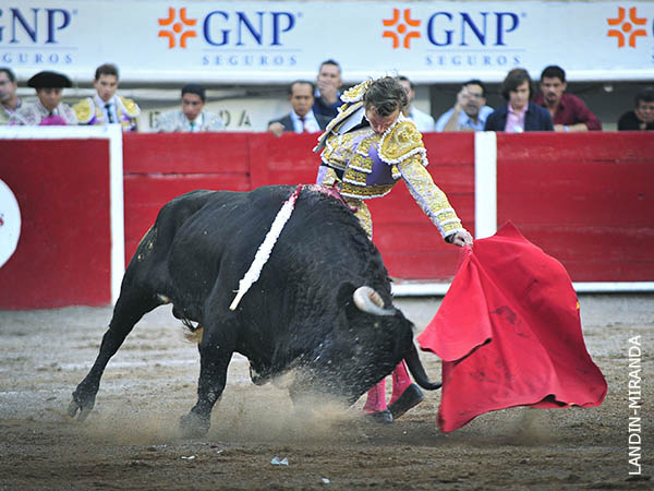 Cobijado por la aficin local