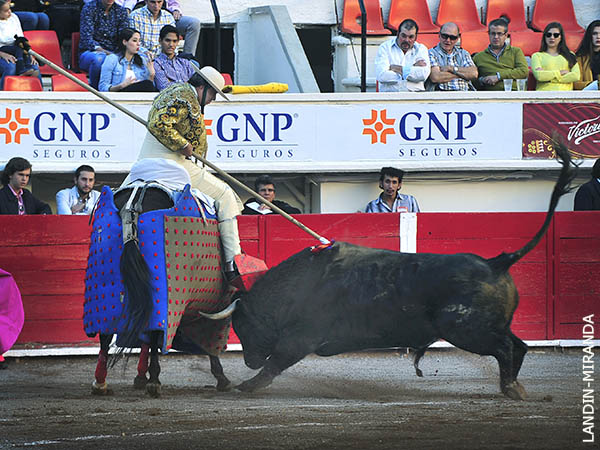 El Tinjo, en todo lo alto