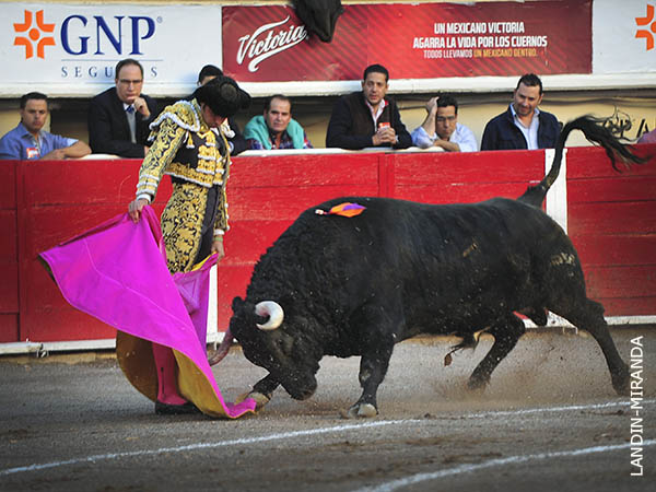 Perera recibe al sobrero