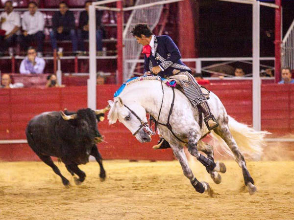 Cambiando los terrenos