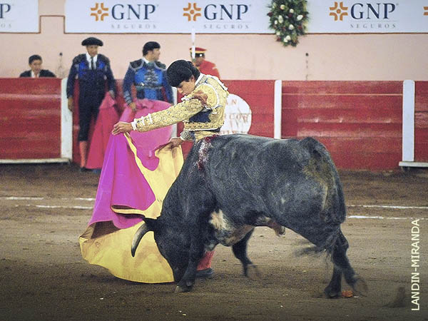 Un s�ptimo de regalo