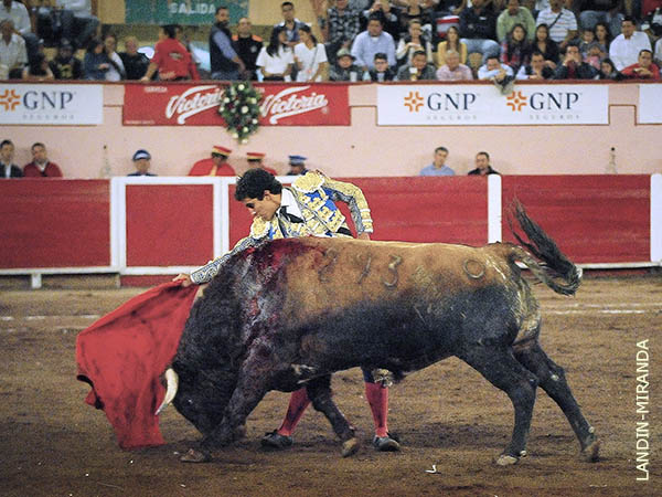 Faena de poca conexi�n al tendido