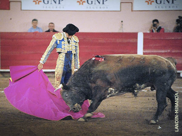 Ante el quinto, de Te�filo G�mez