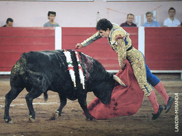 Toledana afilada con 