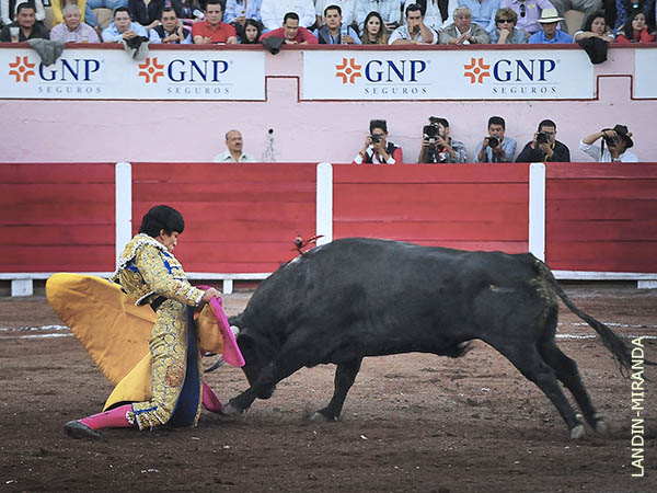 Remate capotero de hinojos