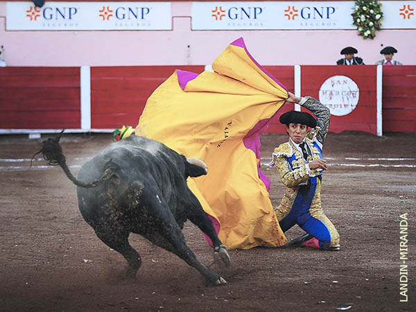 Saludo al cuarto, en los medios
