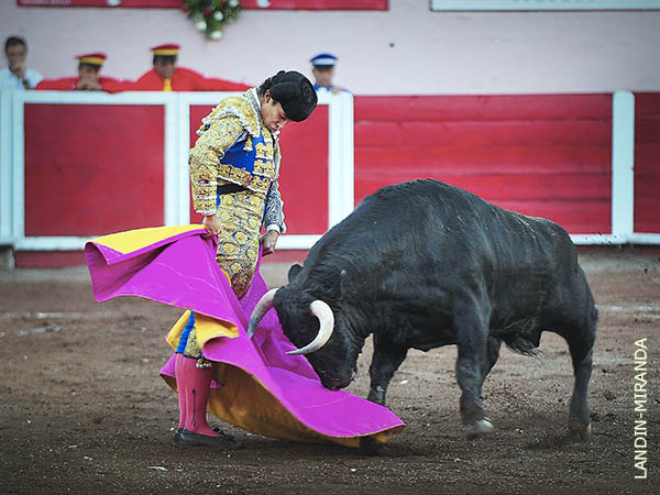 Barbilla encajada en el pecho