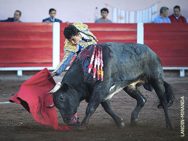 Un c�rdeno con recorrido