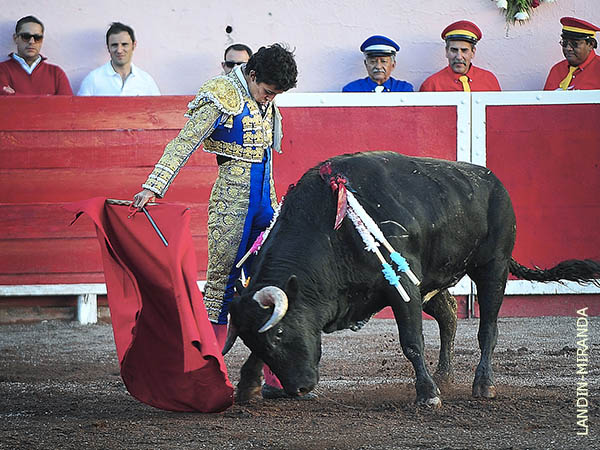Terrenos comprometidos