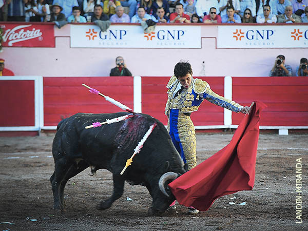 Tirando del c�rdeno