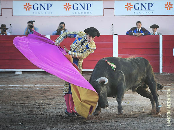 Los vuelos del percal