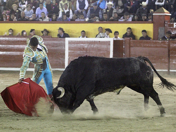 Le plant� cara con determinaci�n