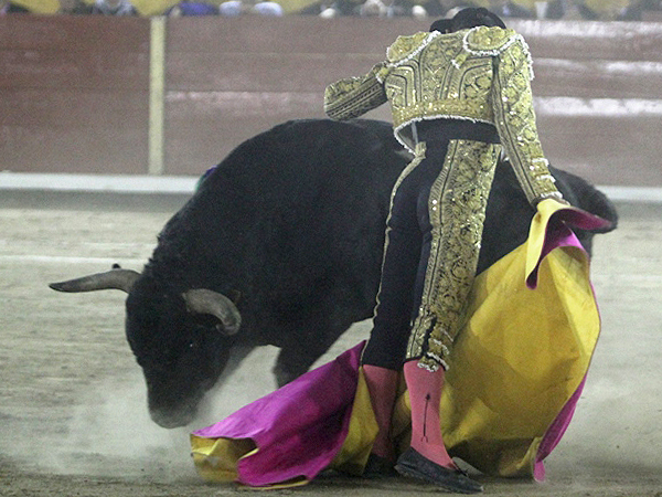 Detalles de torer�a