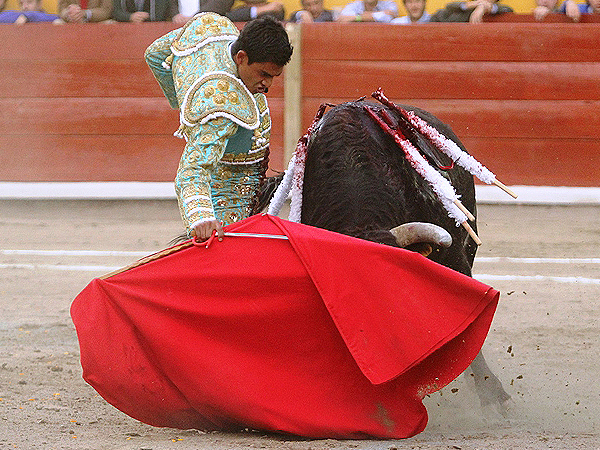 Estructurando la primera faena