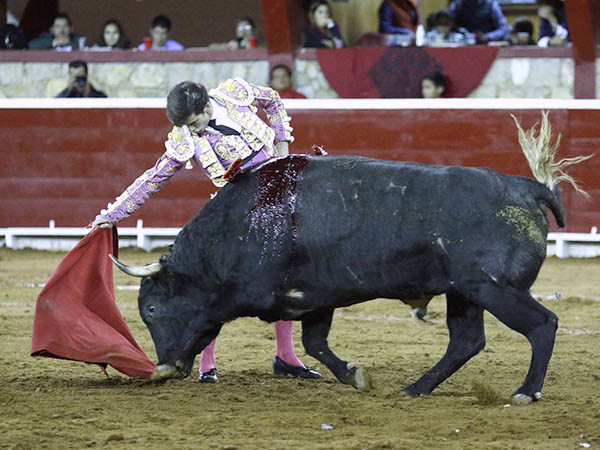 Aplaudido en su debut