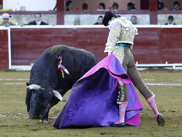 Ver�nica en color azul