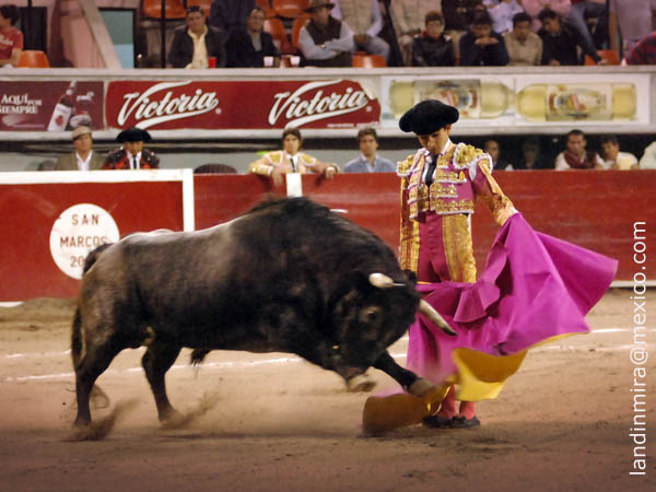 Adame con el segundo regalo