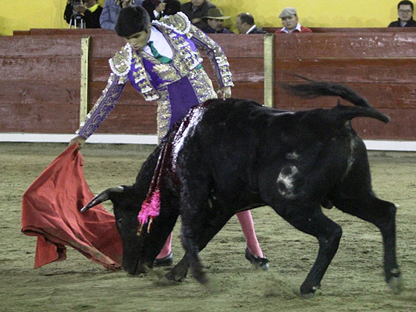 Prospectos interesantes