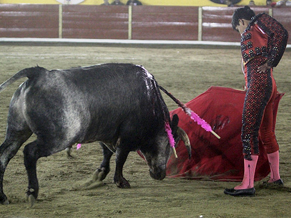 Calidad en la embestida