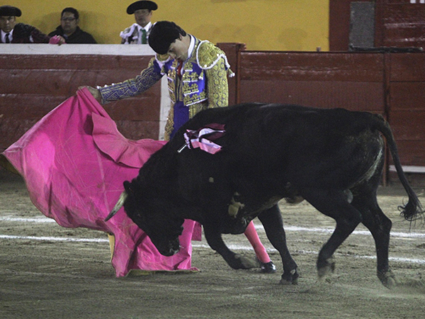 Luis Manuel Castellanos