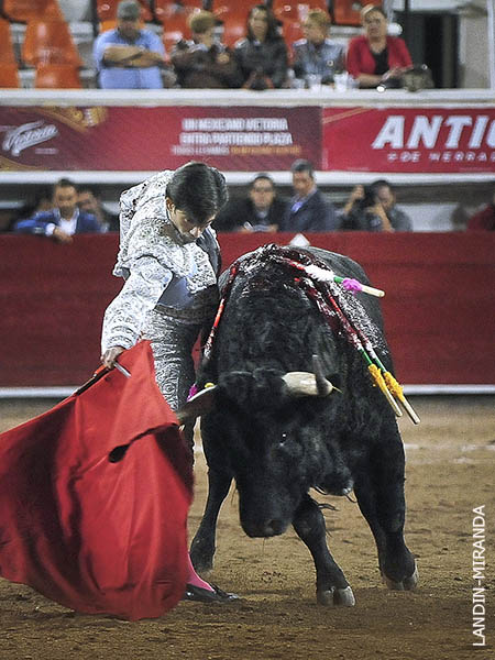 Pinceladas de empaque