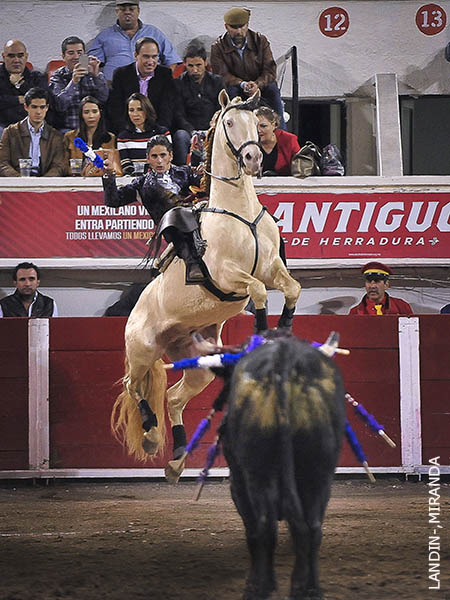 Suspendido en el aire